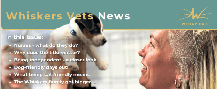 Whiskers Vets Summer 2025 Newsletter