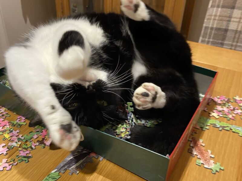 Mable in puzzle Mable in puzzle