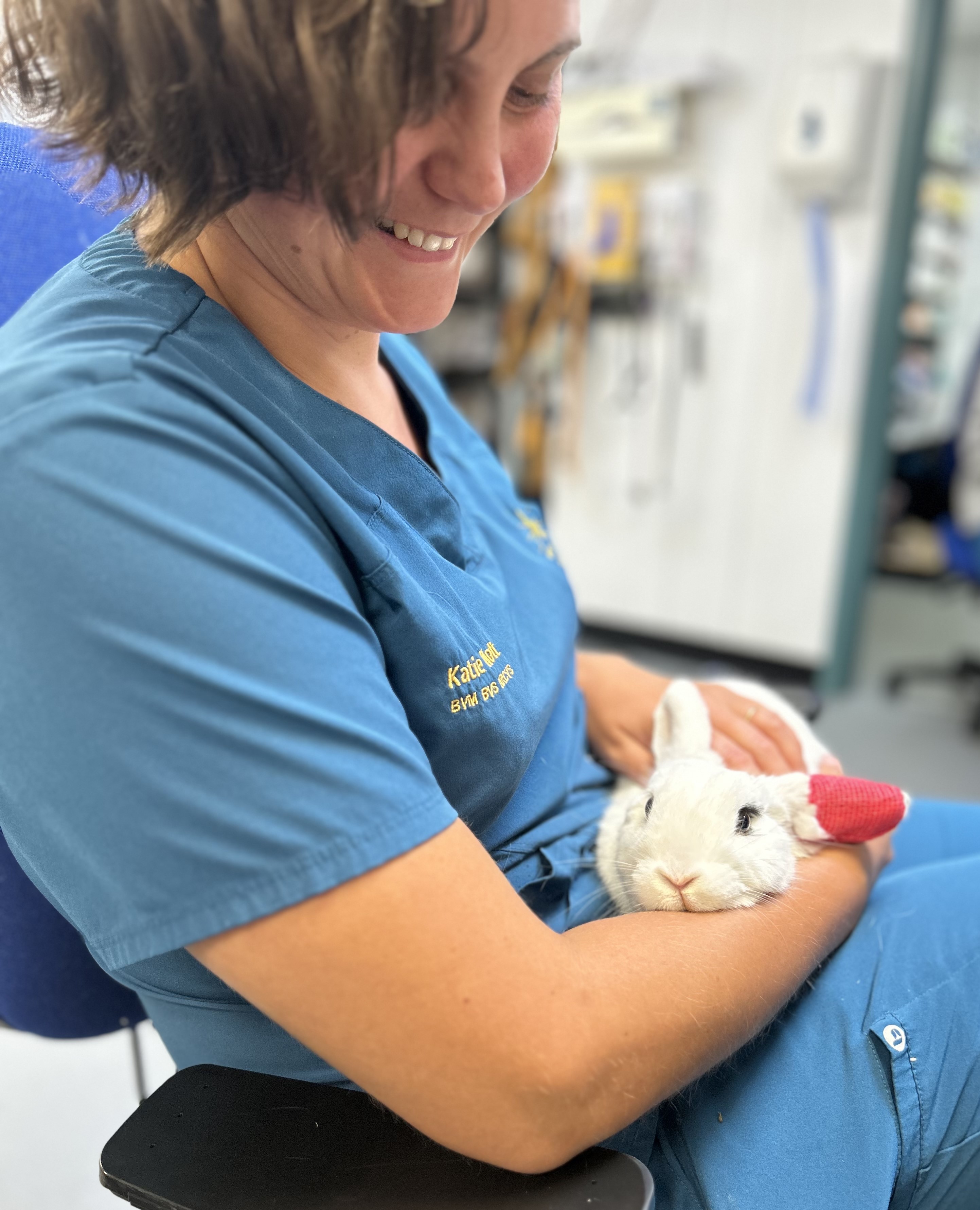 Nurse consultations at Whiskers