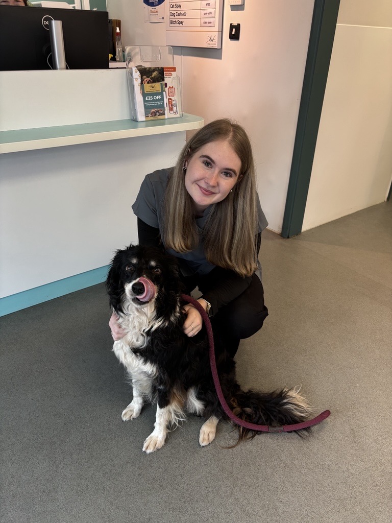 Daisy New Receptionist